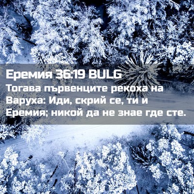 Picture 02 - Еремия 36:19 BULG - Тогава първенците рекоха - Bible Verse Picture