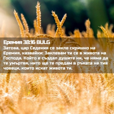 Picture 02 - Еремия 38:16 BULG - Затова, цар Седекия се - Bible Verse Picture