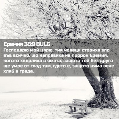Picture 02 - Еремия 38:9 BULG - Господарю мой царю, тия - Bible Verse Picture