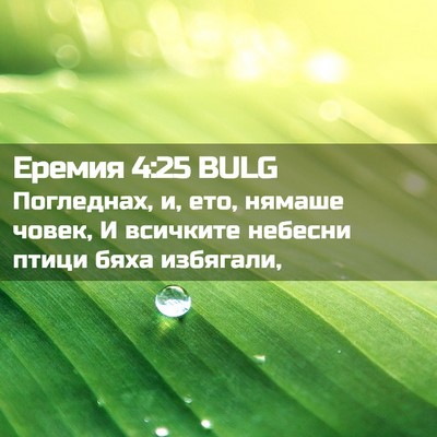Picture 02 - Еремия 4:25 BULG - Погледнах, и, ето, нямаше - Bible Verse Picture