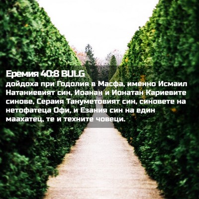 Picture 02 - Еремия 40:8 BULG - дойдоха при Годолия в - Bible Verse Picture