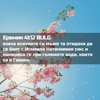 Picture 02 - Еремия 41:12 BULG - взеха всичките си мъже та - Bible Verse Picture