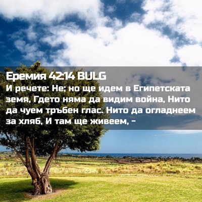 Picture 02 - Еремия 42:14 BULG - И речете: Не; но ще идем в - Bible Verse Picture