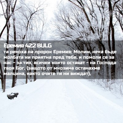 Picture 02 - Еремия 42:2 BULG - та рекоха на пророк Еремия: - Bible Verse Picture