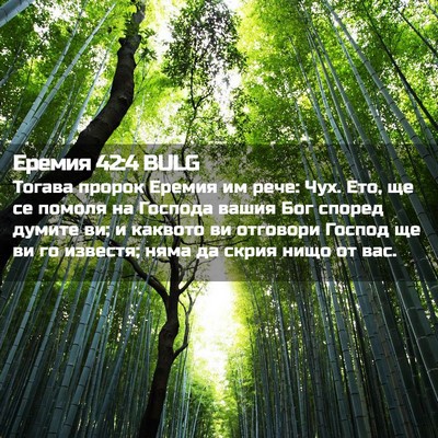 Picture 02 - Еремия 42:4 BULG - Тогава пророк Еремия им - Bible Verse Picture