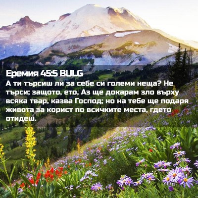 Picture 02 - Еремия 45:5 BULG - А ти търсиш ли за себе си - Bible Verse Picture
