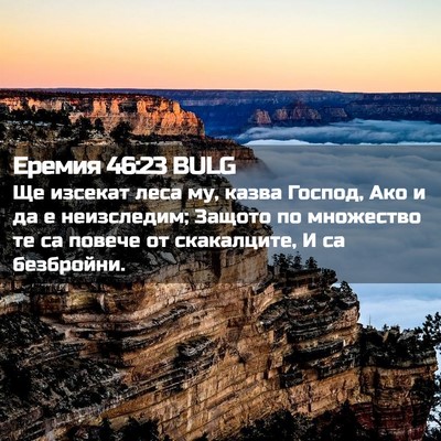 Picture 02 - Еремия 46:23 BULG - Ще изсекат леса му, казва - Bible Verse Picture