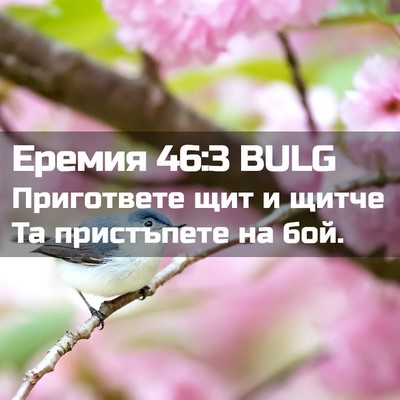 Picture 02 - Еремия 46:3 BULG - Пригответе щит и щитче Та - Bible Verse Picture