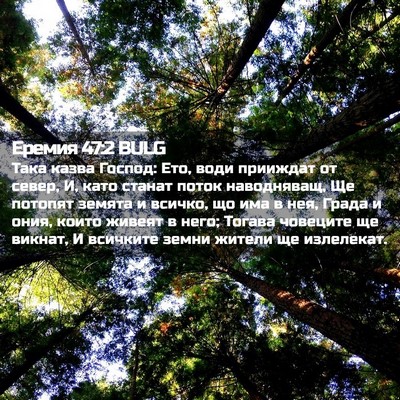 Picture 02 - Еремия 47:2 BULG - Така казва Господ: Ето, - Bible Verse Picture