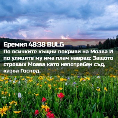 Picture 02 - Еремия 48:38 BULG - По всичките къщни покриви - Bible Verse Picture