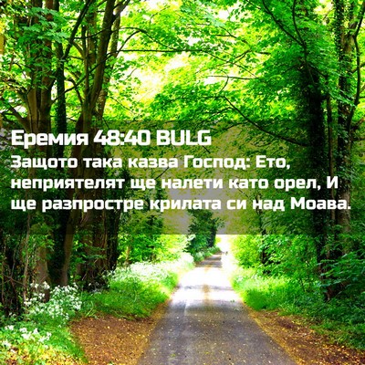 Picture 02 - Еремия 48:40 BULG - Защото така казва Господ: - Bible Verse Picture