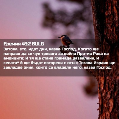 Picture 02 - Еремия 49:2 BULG - Затова, ето, идат дни, казва - Bible Verse Picture