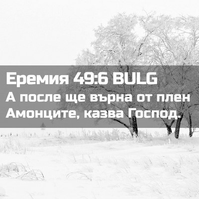 Picture 02 - Еремия 49:6 BULG - А после ще върна от плен - Bible Verse Picture