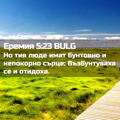 Picture 02 - Еремия 5:23 BULG - Но тия люде имат бунтовно и - Bible Verse Picture