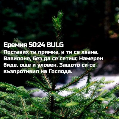 Picture 02 - Еремия 50:24 BULG - Поставих ти примка, и ти се - Bible Verse Picture