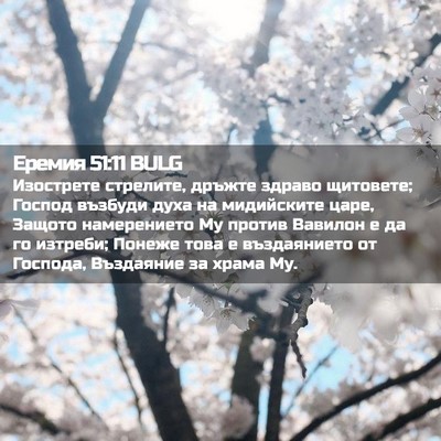 Picture 02 - Еремия 51:11 BULG - Изострете стрелите, дръжте - Bible Verse Picture