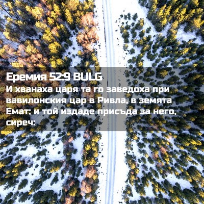 Picture 02 - Еремия 52:9 BULG - И хванаха царя та го - Bible Verse Picture