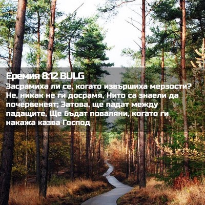 Picture 02 - Еремия 8:12 BULG - Засрамиха ли се, когато - Bible Verse Picture