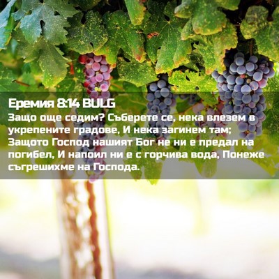 Picture 02 - Еремия 8:14 BULG - Защо още седим? Съберете - Bible Verse Picture
