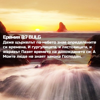 Picture 02 - Еремия 8:7 BULG - Даже щъркелът по небето - Bible Verse Picture