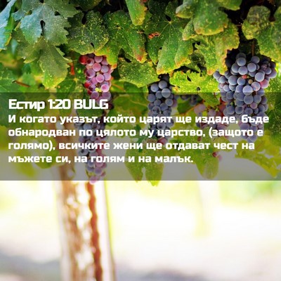 Picture 02 - Естир 1:20 BULG - И когато указът, който - Bible Verse Picture