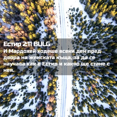 Picture 02 - Естир 2:11 BULG - И Мардохей ходеше всеки - Bible Verse Picture