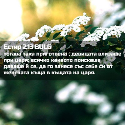 Picture 02 - Естир 2:13 BULG - тогава така приготвена , - Bible Verse Picture