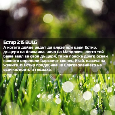 Picture 02 - Естир 2:15 BULG - А когато дойде редът да - Bible Verse Picture