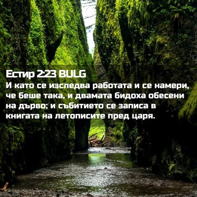 Picture 02 - Естир 2:23 BULG - И като се изследва - Bible Verse Picture