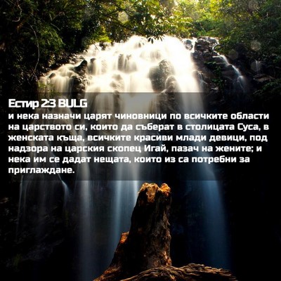 Picture 02 - Естир 2:3 BULG - и нека назначи царят - Bible Verse Picture