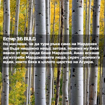 Picture 02 - Естир 3:6 BULG - Но мислеше, че да тури ръка - Bible Verse Picture