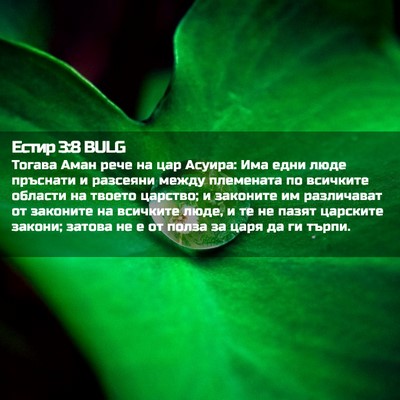 Picture 02 - Естир 3:8 BULG - Тогава Аман рече на цар - Bible Verse Picture