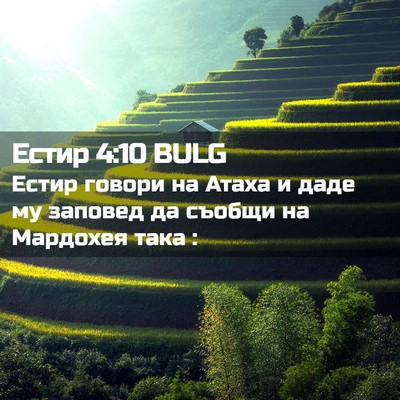 Picture 02 - Естир 4:10 BULG - Естир говори на Атаха и - Bible Verse Picture