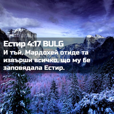 Picture 02 - Естир 4:17 BULG - И тъй, Мардохей отиде та - Bible Verse Picture
