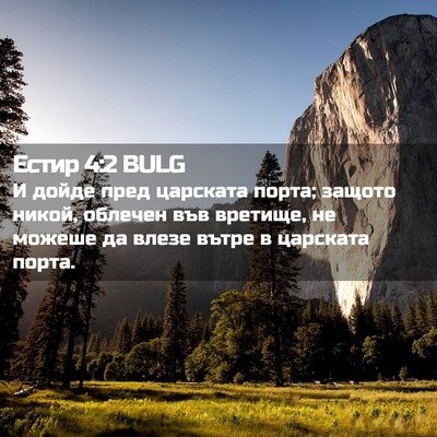 Picture 02 - Естир 4:2 BULG - И дойде пред царската - Bible Verse Picture