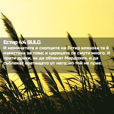 Picture 02 - Естир 4:4 BULG - И момичетата и скопците на - Bible Verse Picture