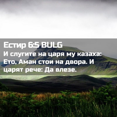Picture 02 - Естир 6:5 BULG - И слугите на царя му - Bible Verse Picture