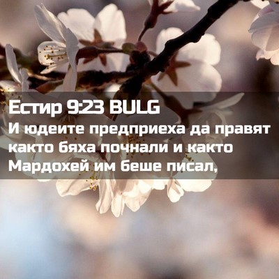 Picture 02 - Естир 9:23 BULG - И юдеите предприеха да - Bible Verse Picture