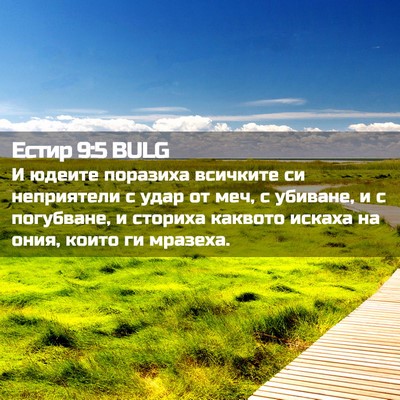 Picture 02 - Естир 9:5 BULG - И юдеите поразиха всичките - Bible Verse Picture