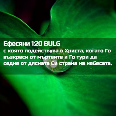 Picture 02 - Ефесяни 1:20 BULG - с която подействува в - Bible Verse Picture