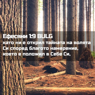 Picture 02 - Ефесяни 1:9 BULG - като ни е открил тайната на - Bible Verse Picture