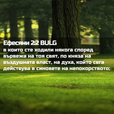 Picture 02 - Ефесяни 2:2 BULG - в които сте ходили някога - Bible Verse Picture