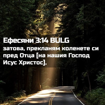 Picture 02 - Ефесяни 3:14 BULG - затова, прекланям коленете - Bible Verse Picture