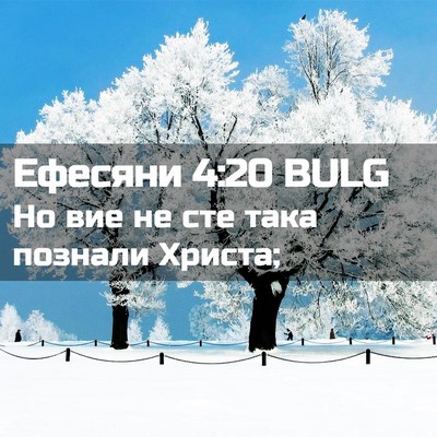 Picture 02 - Ефесяни 4:20 BULG - Но вие не сте така познали - Bible Verse Picture