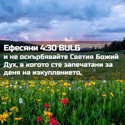 Picture 02 - Ефесяни 4:30 BULG - и не оскърбявайте Светия - Bible Verse Picture
