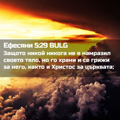 Picture 02 - Ефесяни 5:29 BULG - Защото никой никога не е - Bible Verse Picture