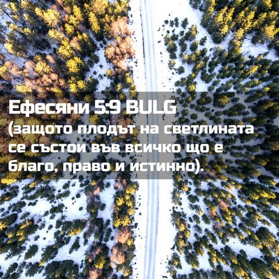 Picture 02 - Ефесяни 5:9 BULG - (защото плодът на - Bible Verse Picture