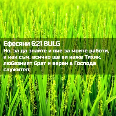 Picture 02 - Ефесяни 6:21 BULG - Но, за да знайте и вие за - Bible Verse Picture