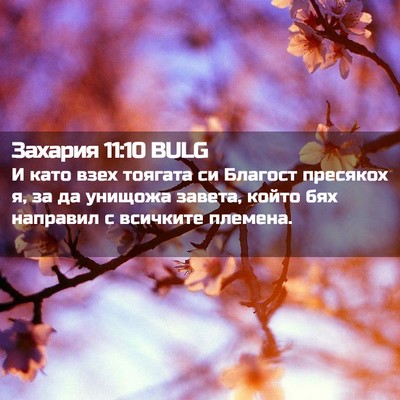 Picture 02 - Захария 11:10 BULG - И като взех тоягата си - Bible Verse Picture