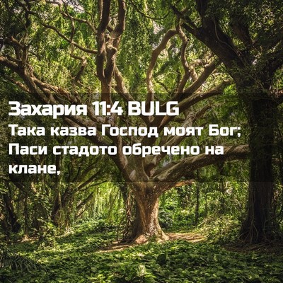 Picture 02 - Захария 11:4 BULG - Така казва Господ моят Бог; - Bible Verse Picture